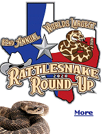 Each year, Texas�s Sweetwater Jaycees ''the world�s largest rattlesnake roundup'' begins with a rattlesnake parade. There�s also a Miss Snake Charmer pageant, a snake eating contest, and awards for the most snakes by weight and the longest snake in the show.